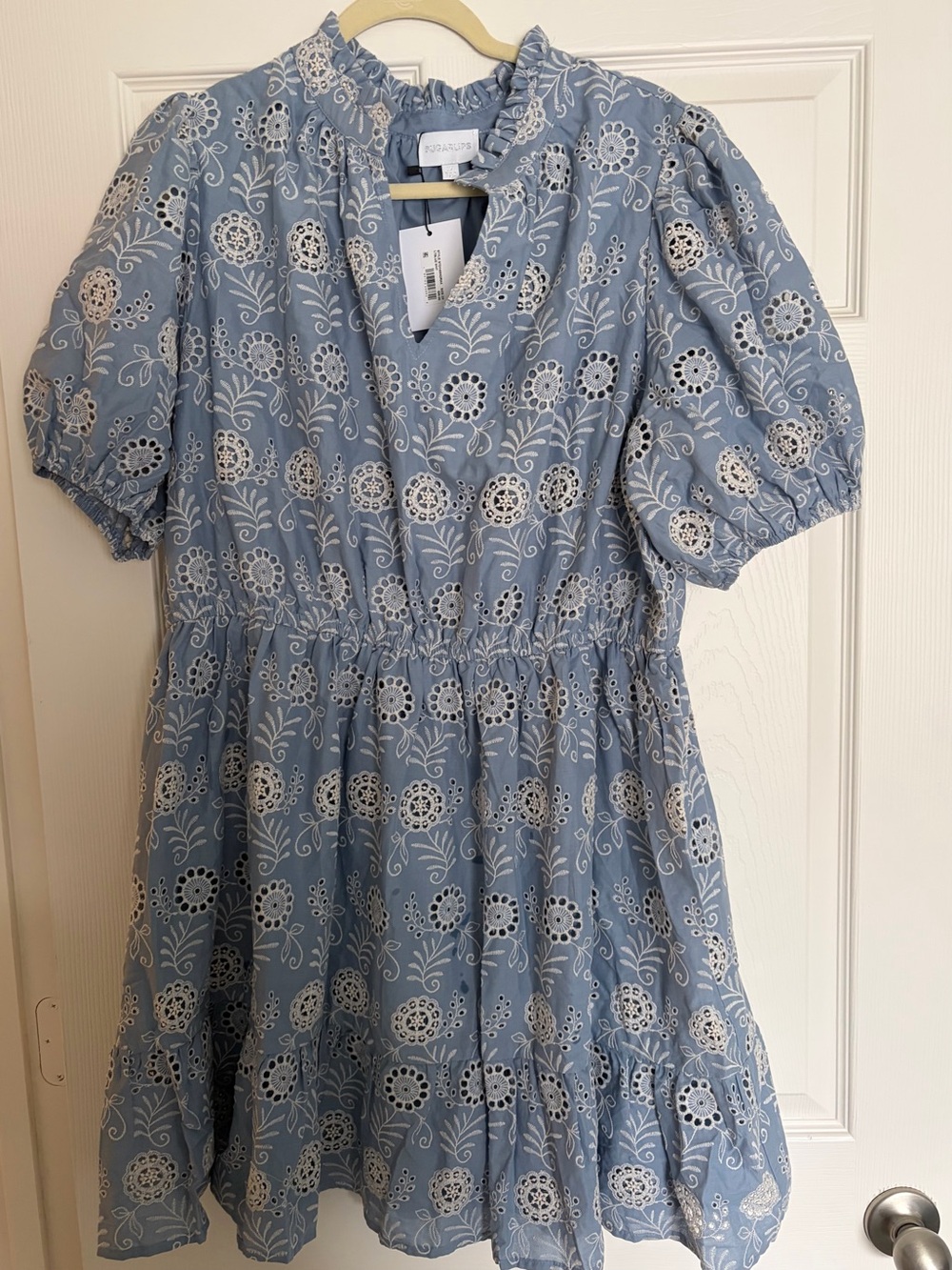 Sugarlips Plus Rosie Embroidered Floral Eyelet Mini Dress